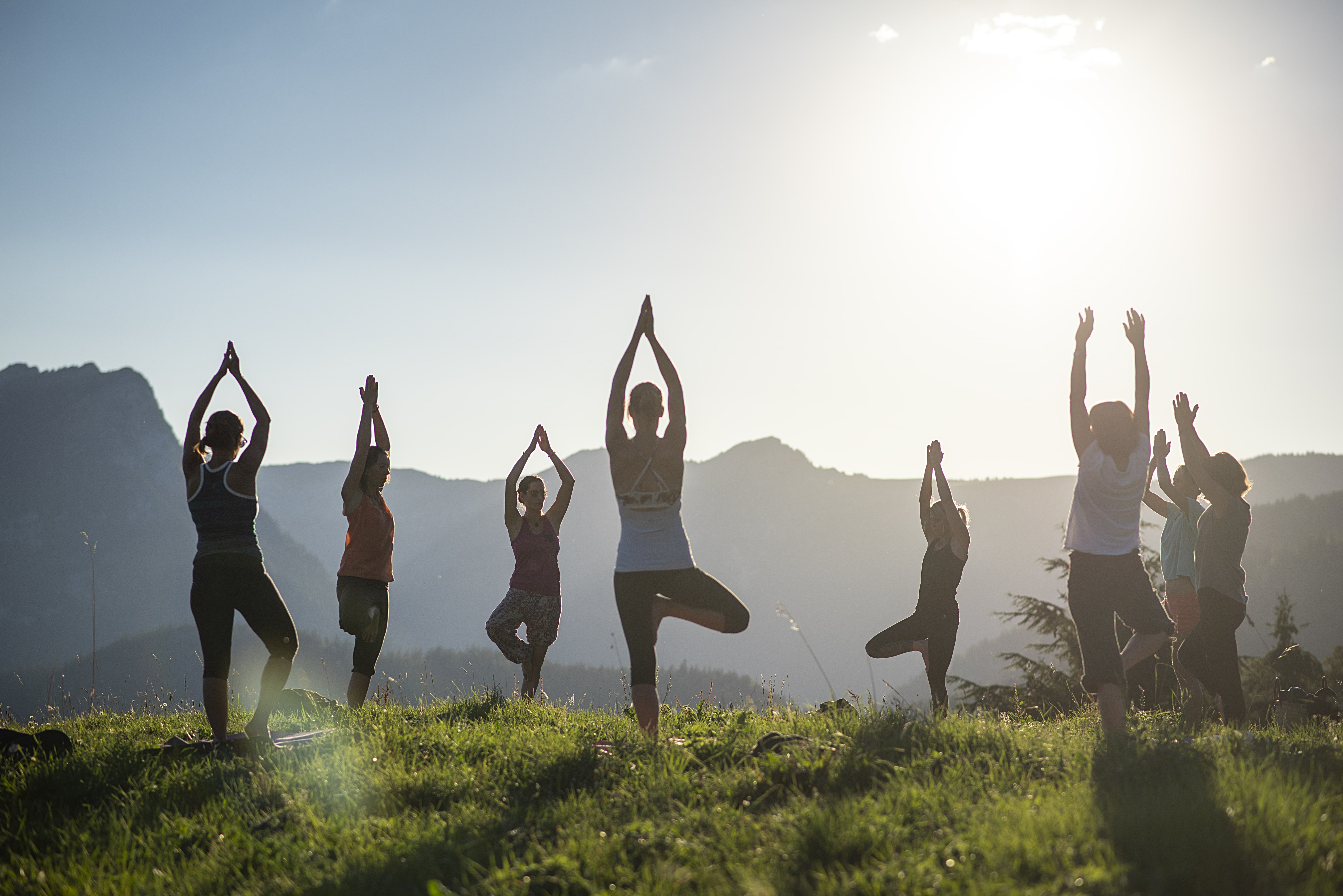 Forest View - Yoga Session