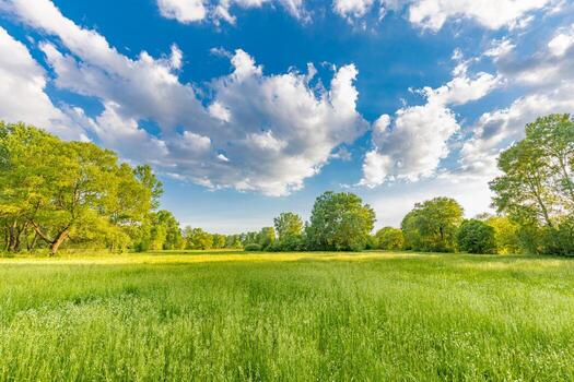 Field